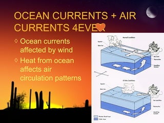 OCEAN CURRENTS + AIR
CURRENTS 4EVER
◊ Ocean currents
affected by wind
◊ Heat from ocean
affects air
circulation patterns
 