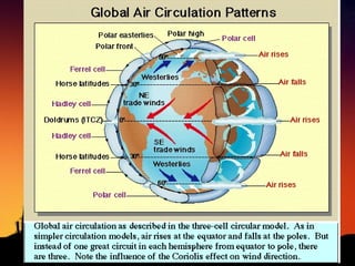 Ap Environmental Science Ch 7
