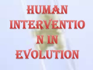 Human Intervention in Evolution 