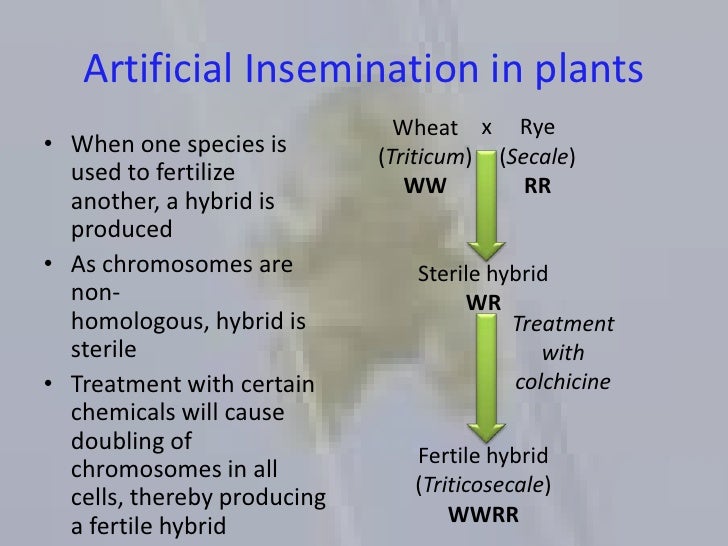 Ch. 16 Human intervention in evolution