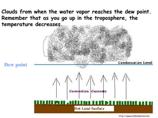 http://www.wildlandschool.net Clouds from when the water vapor reaches the dew point. Remember that as you go up in the troposphere, the temperature decreases. Dew point 