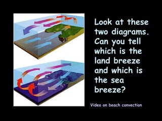Look at these two diagrams.  Can you tell which is the land breeze and which is the sea breeze? Video on beach convection 