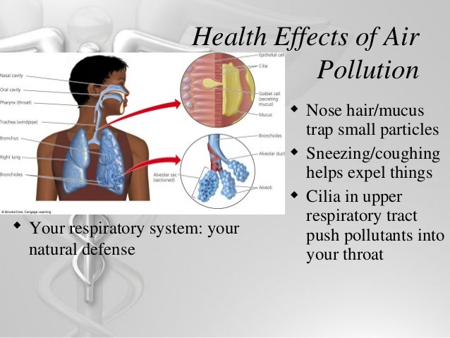 The Effects Of Air Pollution On Respiratory