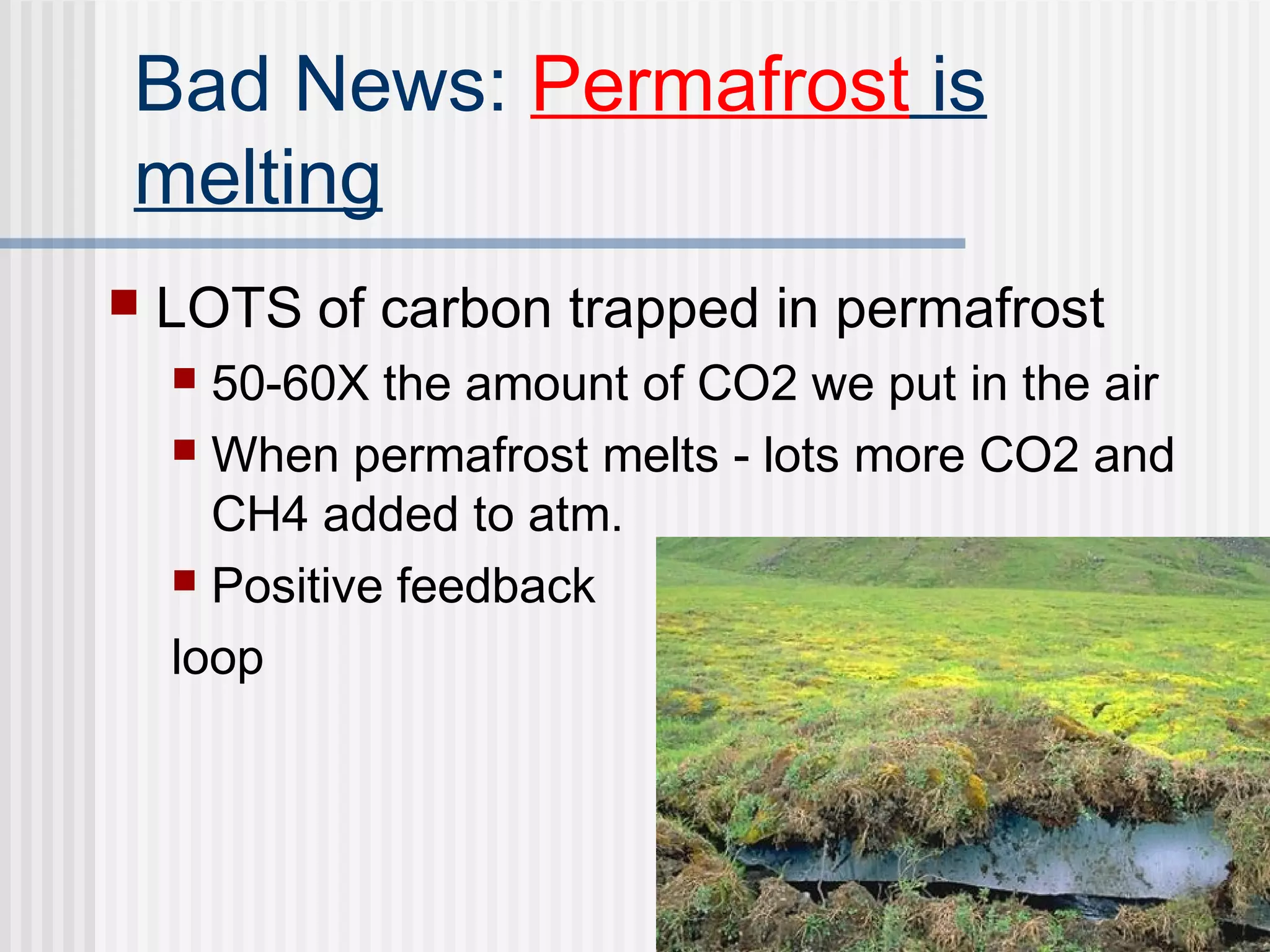 Bad News: Permafrost is
melting
 LOTS of carbon trapped in permafrost
 50-60X the amount of CO2 we put in the air
 When permafrost melts - lots more CO2 and
CH4 added to atm.
 Positive feedback
loop
 