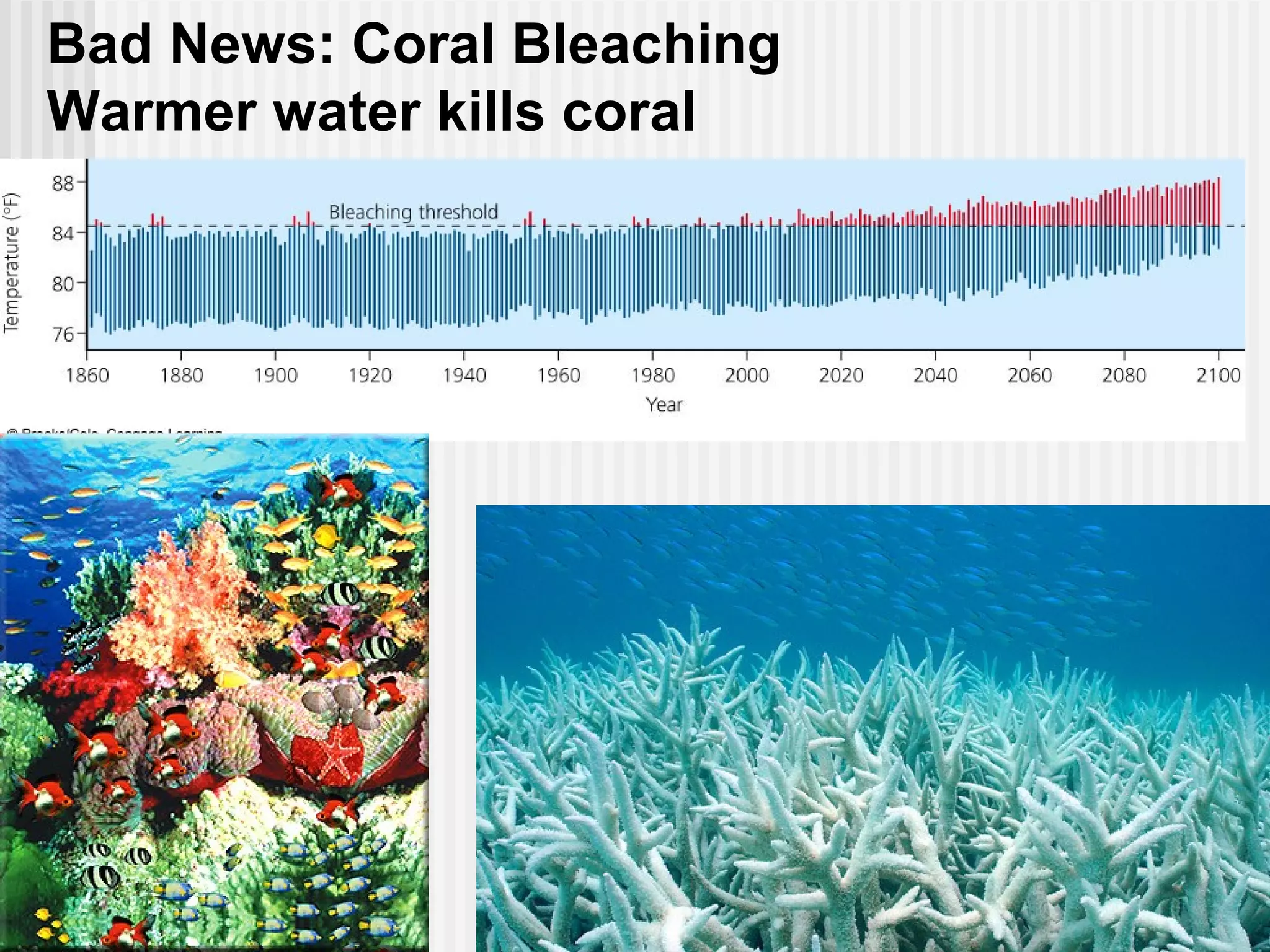 Bad News: Coral Bleaching
Warmer water kills coral
 