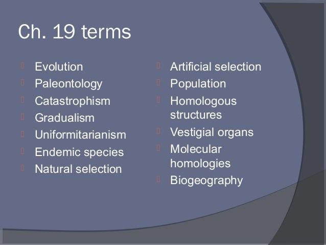 Thesis development and roadmap photo 3