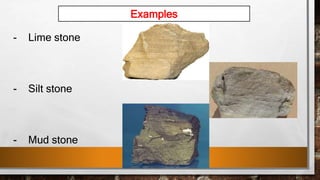- Lime stone
- Silt stone
- Mud stone
Examples
 