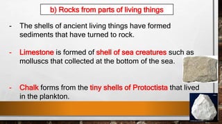 - The shells of ancient living things have formed
sediments that have turned to rock.
- Limestone is formed of shell of sea creatures such as
molluscs that collected at the bottom of the sea.
- Chalk forms from the tiny shells of Protoctista that lived
in the plankton.
b) Rocks from parts of living things
 