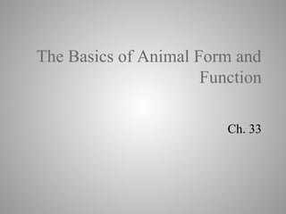 The Basics of Animal Form and
Function
Ch. 33
 