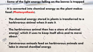 - Some of the light energy falling on the leaves is trapped.
- It is converted into chemical energy as the plant makes
food (Photosynthesis).
- The chemical energy stored in plants is transferred to a
herbivorous animal when it eats it.
- The herbivorous animal then has a store of chemical
energy, which it uses to keep itself alive and to move
about.
- Carnivorous animals feed on herbivorous animals and
take in stored chemical energy.
 