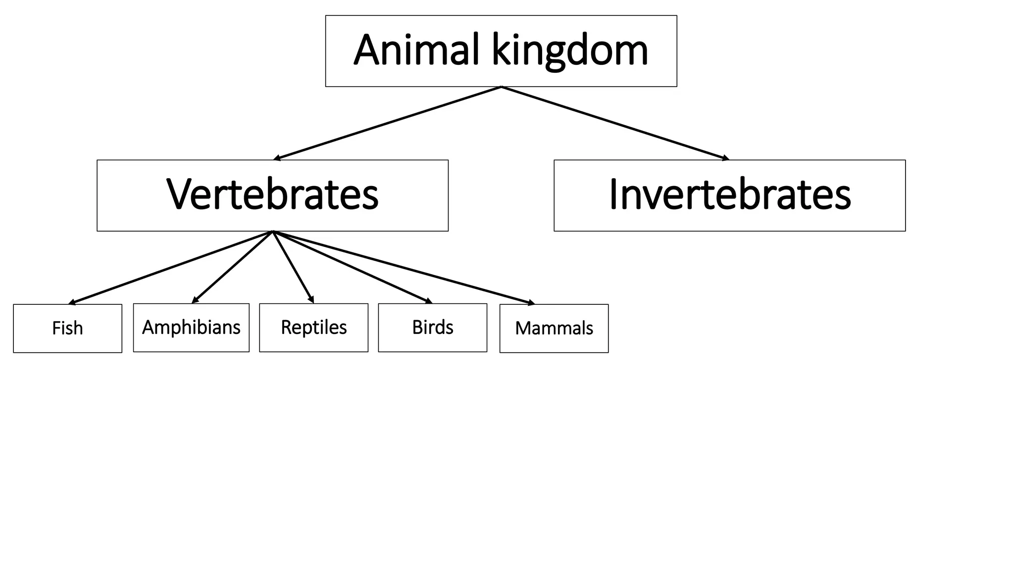 Animal kingdom
Vertebrates Invertebrates
BirdsReptilesAmphibians MammalsFish
 