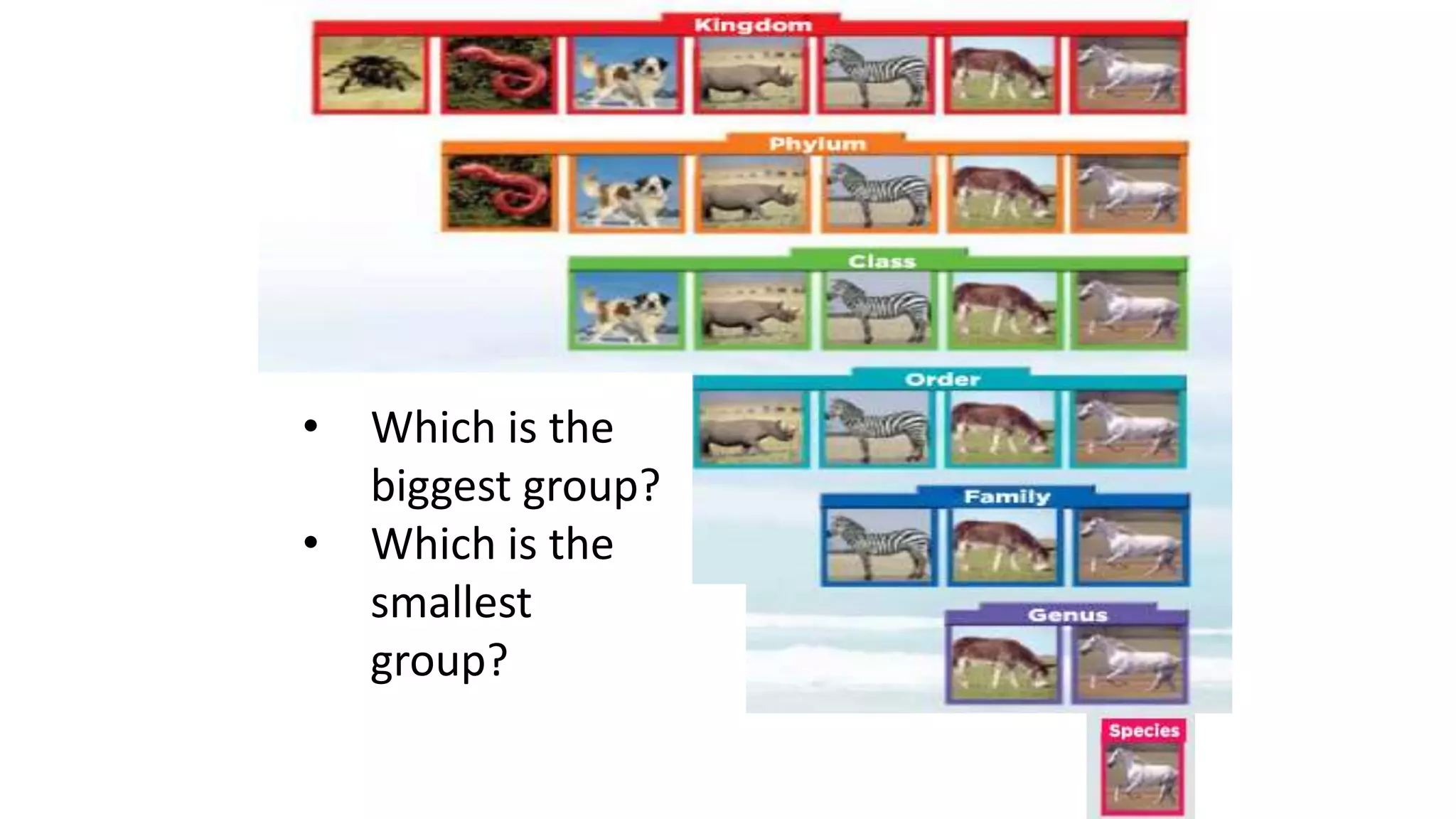 • Which is the
biggest group?
• Which is the
smallest
group?
 