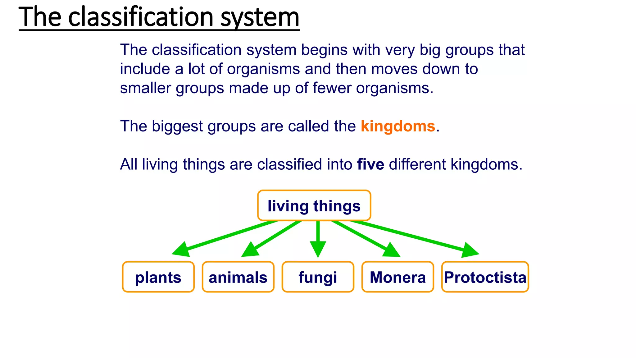 The classification system begins with very big groups that
include a lot of organisms and then moves down to
smaller groups made up of fewer organisms.
The biggest groups are called the kingdoms.
All living things are classified into five different kingdoms.
The classification system
plants Protoctistaanimals Monerafungi
living things
 