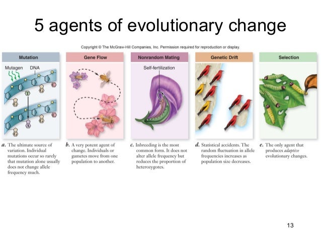 Ch.18 lecture presentation