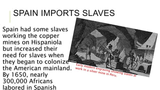 SPAIN IMPORTS SLAVES
Spain had some slaves
working the copper
mines on Hispaniola
but increased their
need for slaves when
they began to colonize
the American mainland.
By 1650, nearly
300,000 Africans
labored in Spanish
 