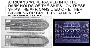 AFRICANS WERE PACKED INTO THE
DARK HOLDS OF THE SHIPS. ON THESE
SHIPS THE AFRICANS DIED OF EITHER
SICKNESS OR CRUEL TREATMENT BY
THE MERCHANTS.
 