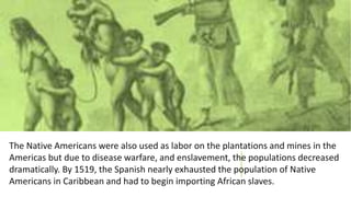 The Native Americans were also used as labor on the plantations and mines in the
Americas but due to disease warfare, and enslavement, the populations decreased
dramatically. By 1519, the Spanish nearly exhausted the population of Native
Americans in Caribbean and had to begin importing African slaves.
 
