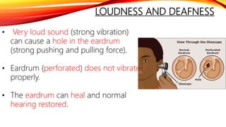 LOUDNESS AND DEAFNESS
• Very loud sound (strong vibration)
can cause a hole in the eardrum
(strong pushing and pulling force).
• Eardrum (perforated) does not vibrate
properly.
• The eardrum can heal and normal
hearing restored.
 