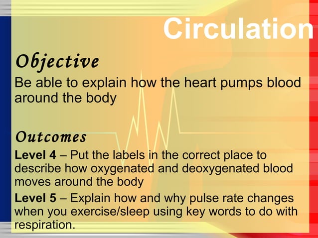 Ch.4.circulatory system | PPT