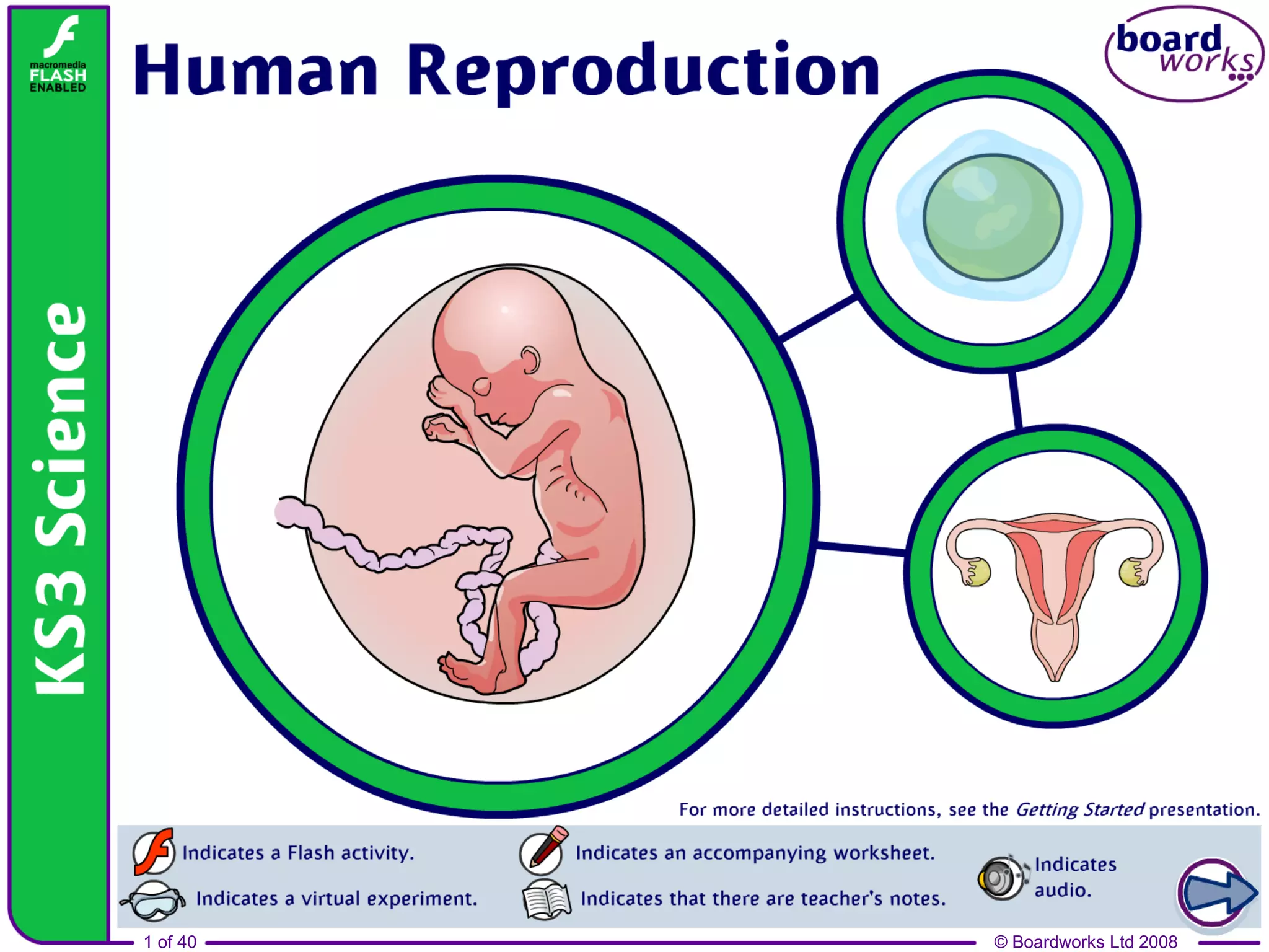 Ch.6.reproduction in humans | PPT