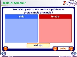 28 of 40 © Boardworks Ltd 2008
Male or female?
 