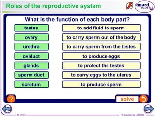 29 of 40 © Boardworks Ltd 2008
Roles of the reproductive system
 