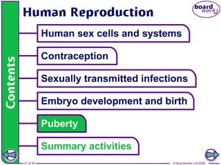 31 of 40 © Boardworks Ltd 2008
 