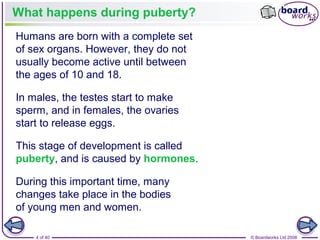 4 of 40 © Boardworks Ltd 2008
What happens during puberty?
Humans are born with a complete set
of sex organs. However, they do not
usually become active until between
the ages of 10 and 18.
In males, the testes start to make
sperm, and in females, the ovaries
start to release eggs.
This stage of development is called
puberty, and is caused by hormones.
During this important time, many
changes take place in the bodies
of young men and women.
 