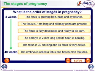 43 of 40 © Boardworks Ltd 2008
The stages of pregnancy
 