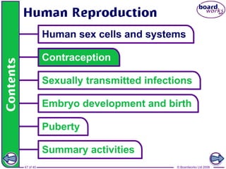 47 of 40 © Boardworks Ltd 2008
 