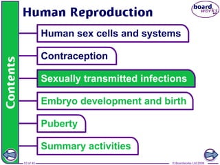 53 of 40 © Boardworks Ltd 2008
 
