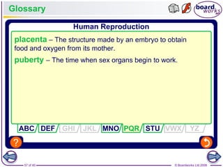 57 of 40 © Boardworks Ltd 2008
Glossary
 