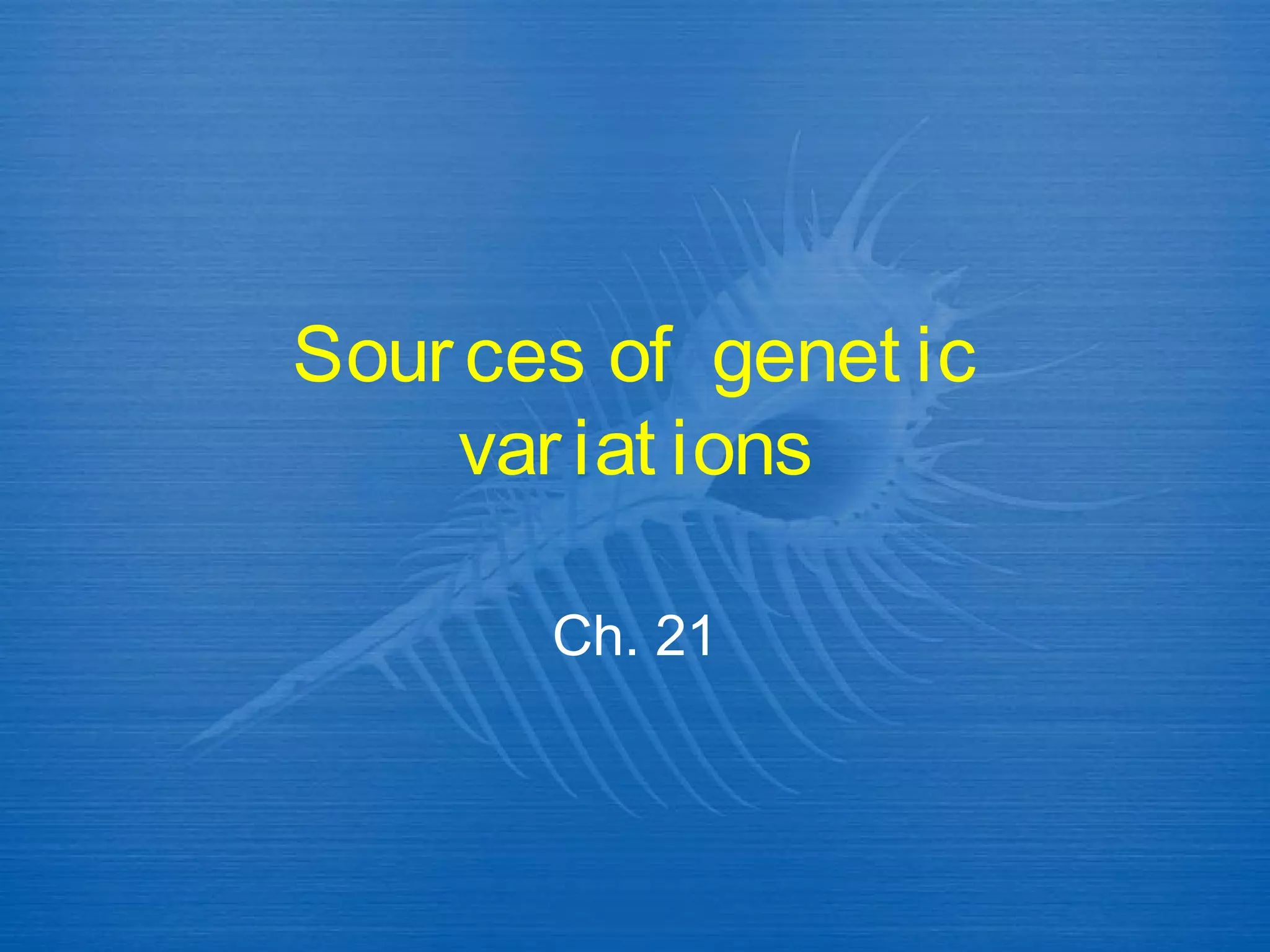 What Is Genetic Drift Quizlet - g18sstd