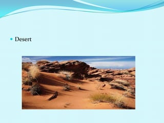 Desert