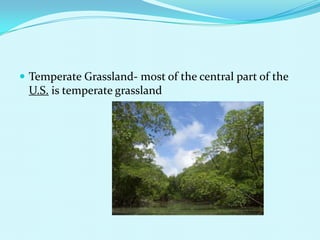 Temperate Grassland- most of the central part of the U.S. is temperate grassland