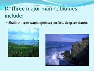 D. Three major marine biomes include:Shallow ocean water, open sea surface, deep sea waters.