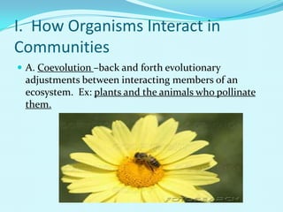 I.  How Organisms Interact in CommunitiesA. Coevolution–back and forth evolutionary adjustments between interacting members of an ecosystem.  Ex: plants and the animals who pollinate them.