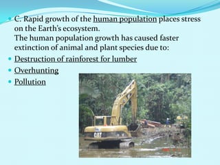 C. Rapid growth of the human population places stress on the Earth’s ecosystem.The human population growth has caused faster extinction of animal and plant species due to:Destruction of rainforest for lumberOverhuntingPollution