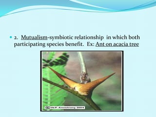 2.  Mutualism-symbiotic relationship  in which both participating species benefit.  Ex: Ant on acacia tree
