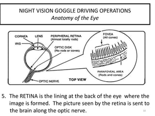 10
NIGHT VISION GOGGLE DRIVING OPERATIONS
Anatomy of the Eye
5. The RETINA is the lining at the back of the eye where the
image is formed. The picture seen by the retina is sent to
the brain along the optic nerve.
 