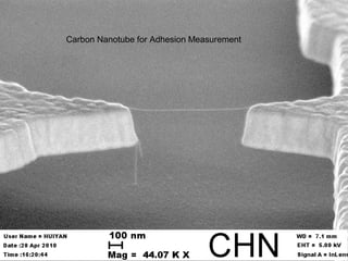 Carbon Nanotube for Adhesion Measurement
 