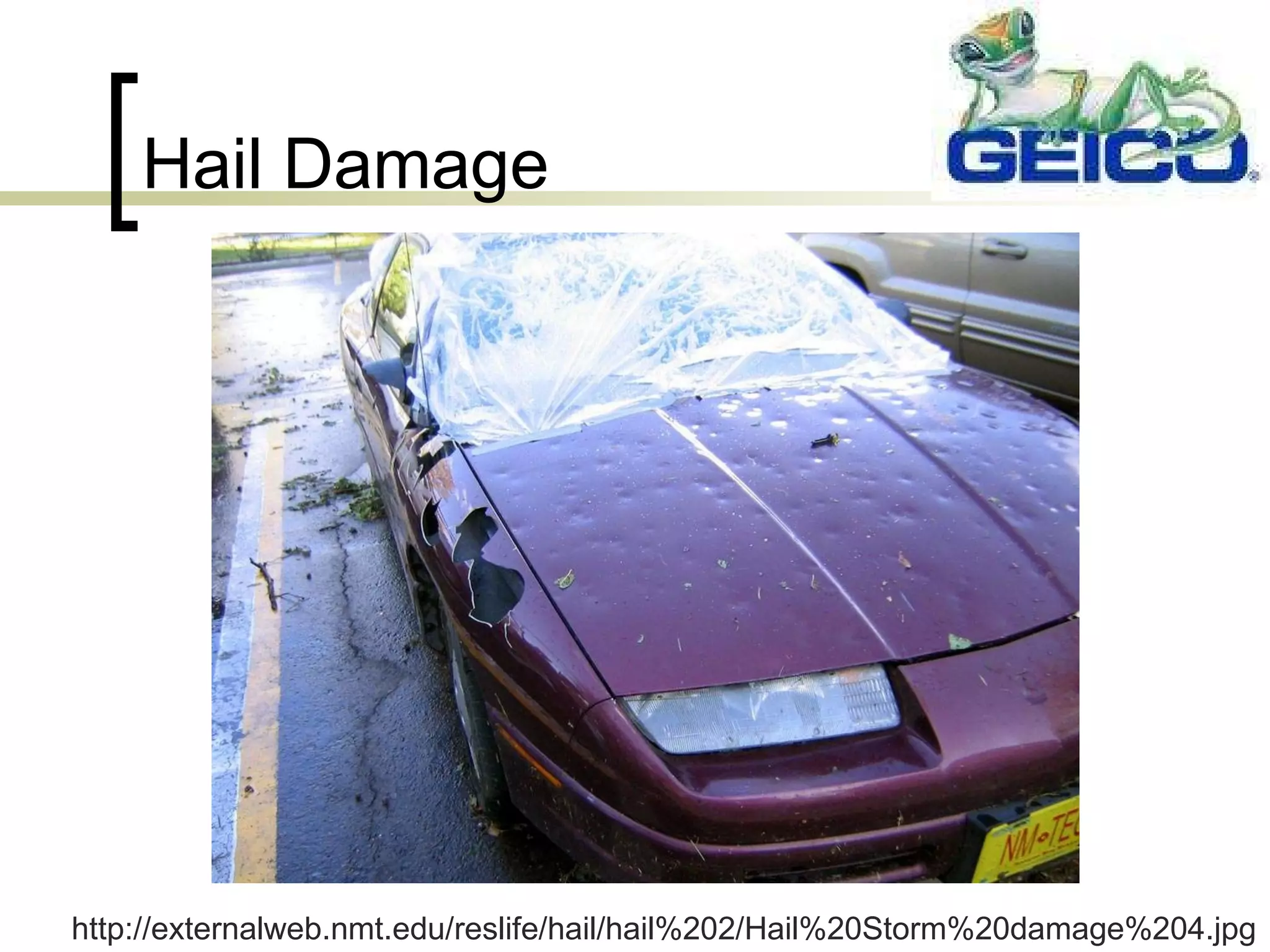 Hail Damage http://externalweb.nmt.edu/reslife/hail/hail%202/Hail%20Storm%20damage%204.jpg 