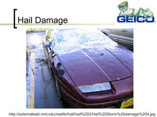 Hail Damage http://externalweb.nmt.edu/reslife/hail/hail%202/Hail%20Storm%20damage%204.jpg 