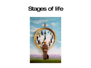 Stages of life