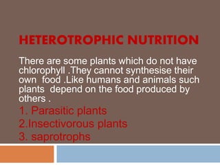 HETEROTROPHIC NUTRITION
There are some plants which do not have
chlorophyll .They cannot synthesise their
own food .Like humans and animals such
plants depend on the food produced by
others .
1. Parasitic plants
2.Insectivorous plants
3. saprotrophs
 