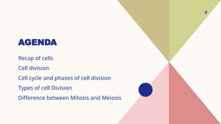 Comprehensive Overview of Cell Cycle and Cell Division Processes | PPTX