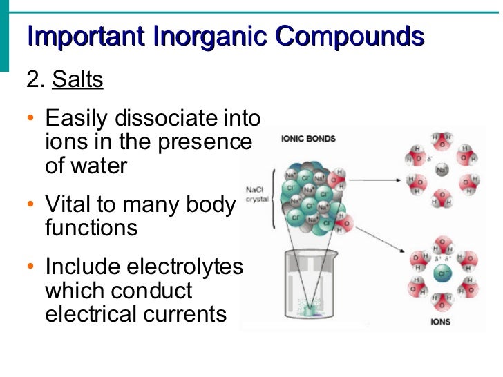 Biochemistry Compounds dxgala