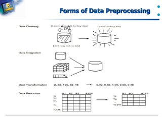 Forms of Data Preprocessing   