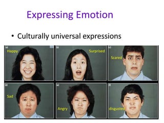 Expressing Emotion
• Culturally universal expressions
Happy Surprised
Scared
Sad
Angry disgusted
 
