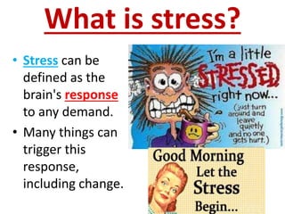 What is stress?
• Stress can be
defined as the
brain's response
to any demand.
• Many things can
trigger this
response,
including change.
 